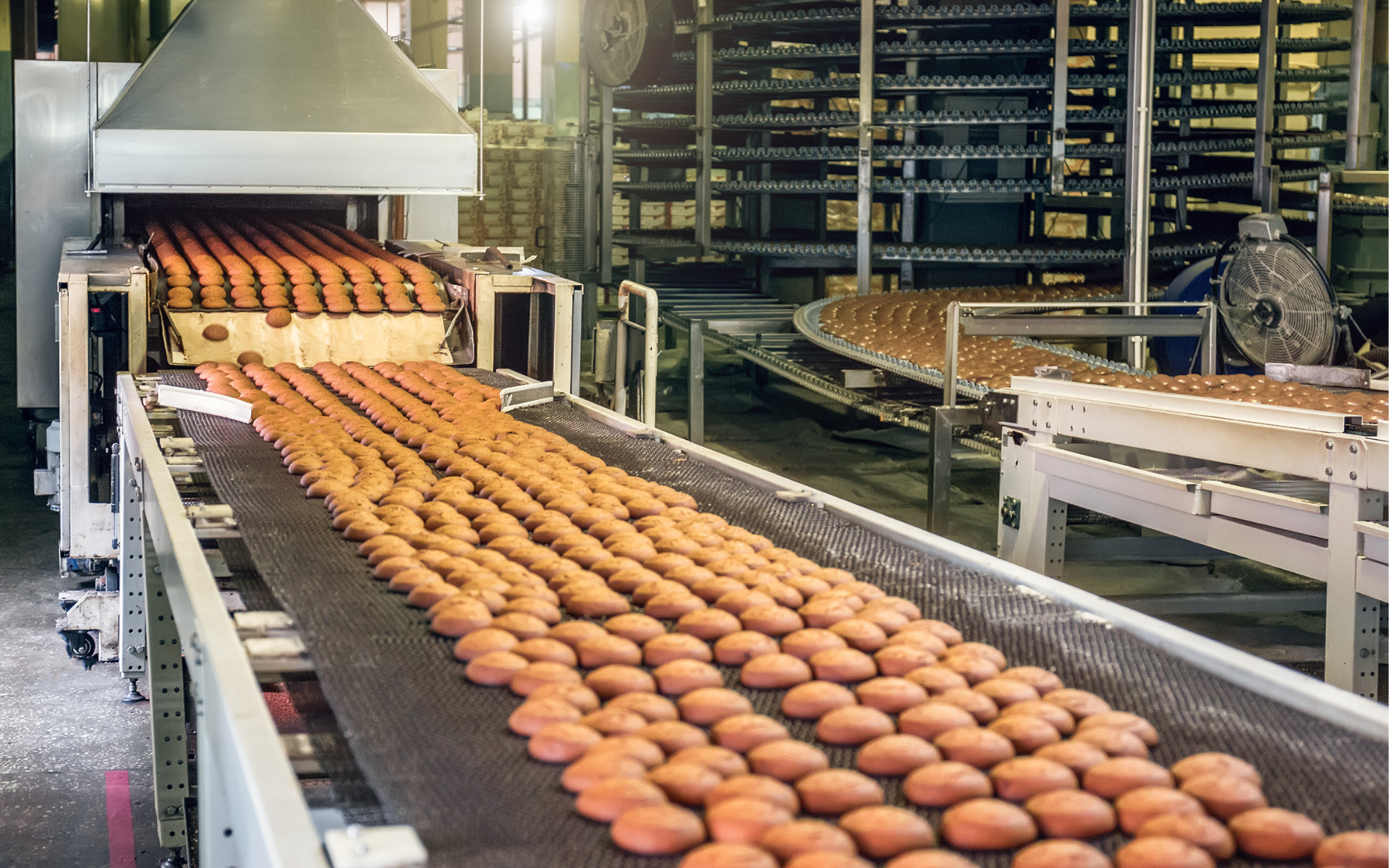 Cooling Conveyors in Baking Industry